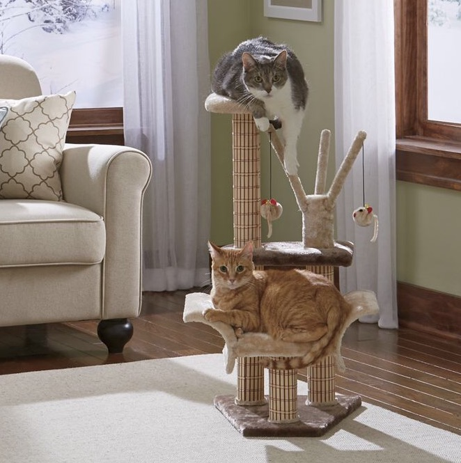 Cat Playground