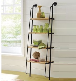 Ladder Shelf